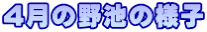 4̖r̗lq